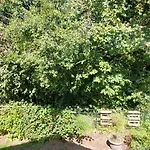 ベッド・アンド・ブレックファスト Haus Im Gruenen *