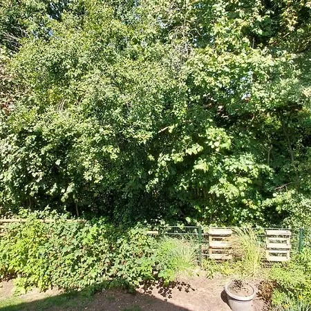 Bed and Breakfast Haus Im Gruenen *