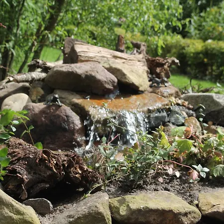 Panzió Haus Im Gruenen Lingen