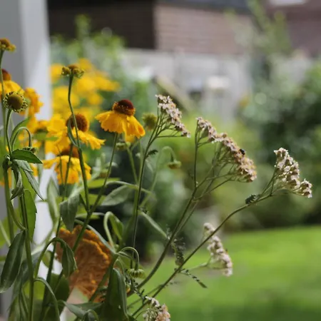 Haus Im Gruenen * Lingen