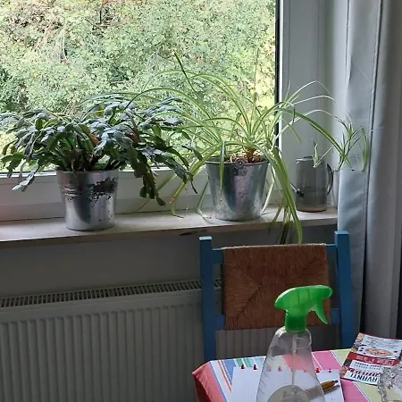 Bed and Breakfast Haus Im Gruenen