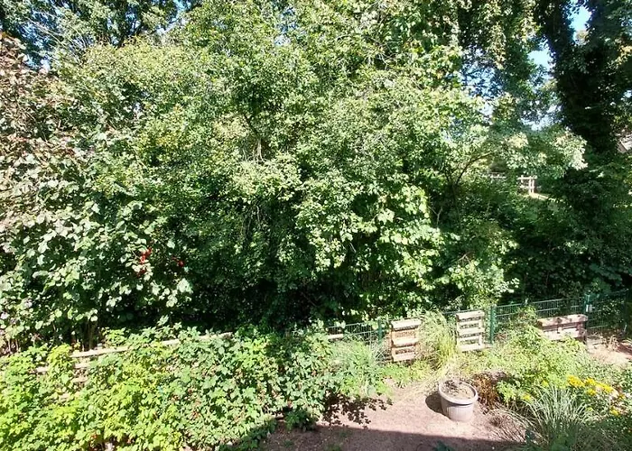 Haus Im Gruenen * Lingen