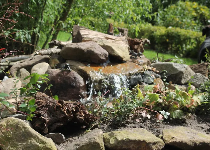 Panzió Haus Im Gruenen Lingen