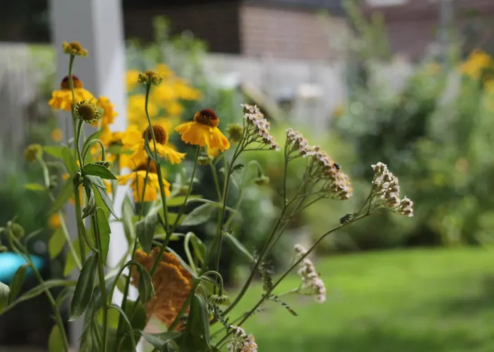 Haus Im Gruenen * Lingen
